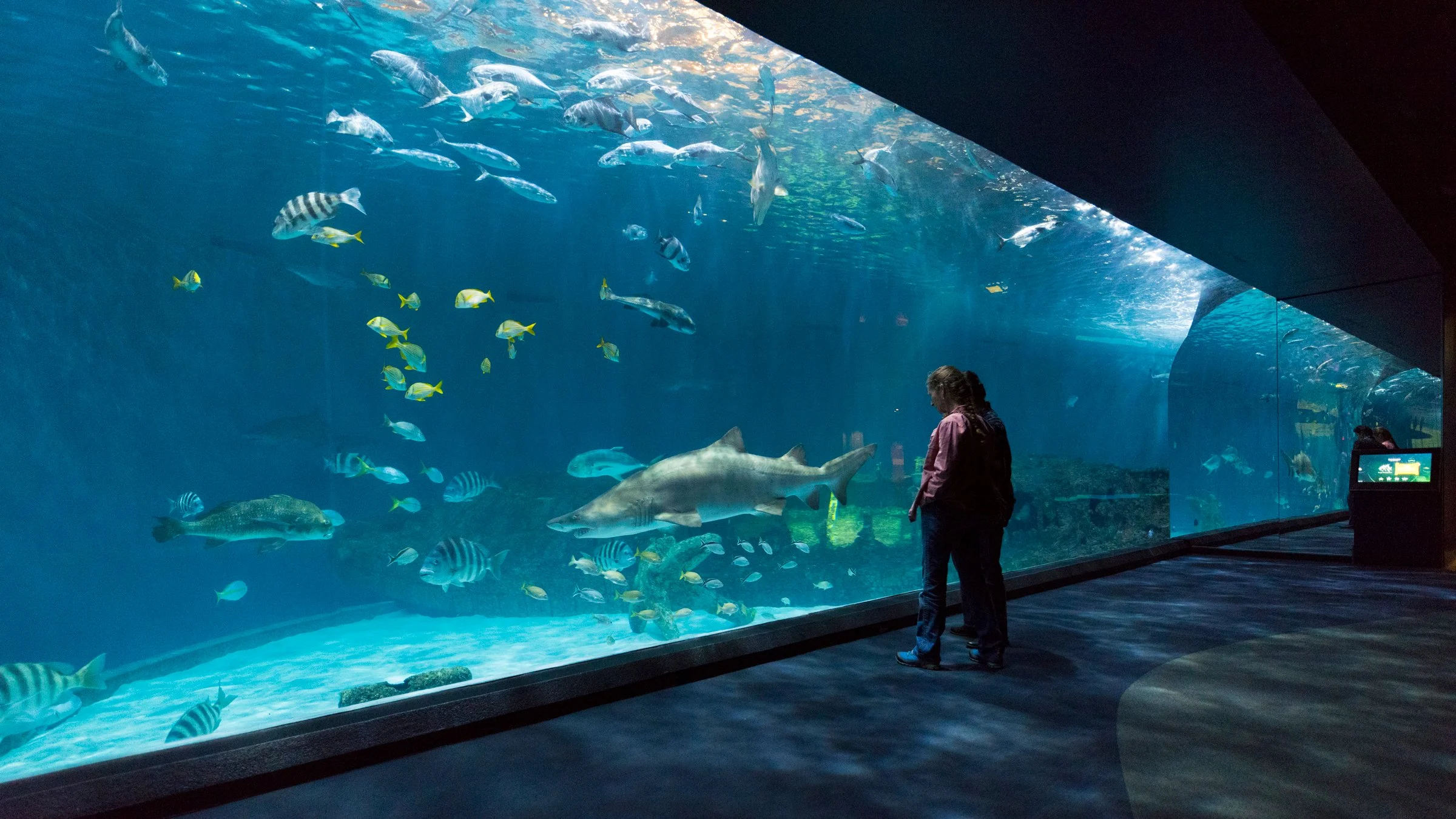 NC Aquarium